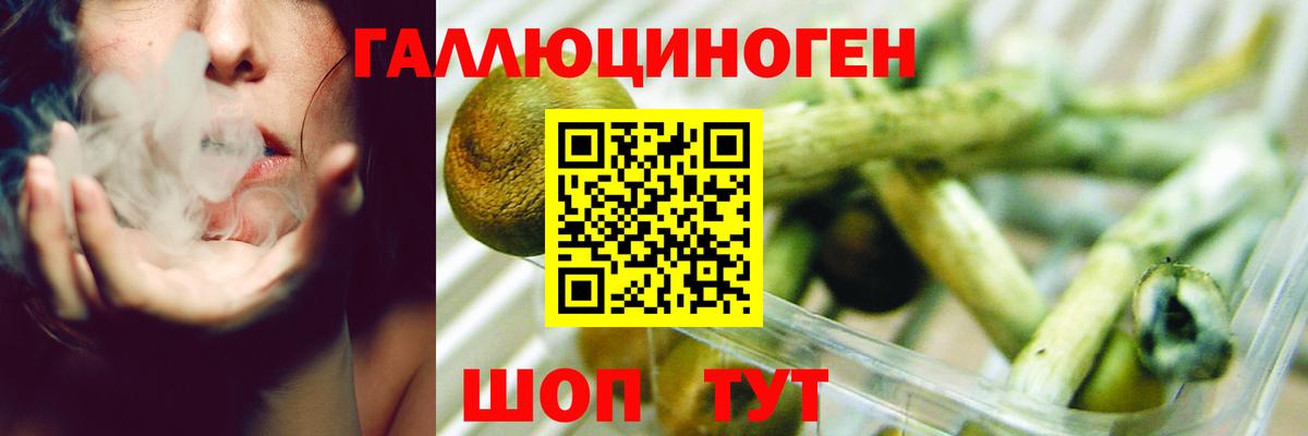 Галлюциногенные грибы GOLDEN TEACHER  хочу   Воскресенск  Вход с VPN 